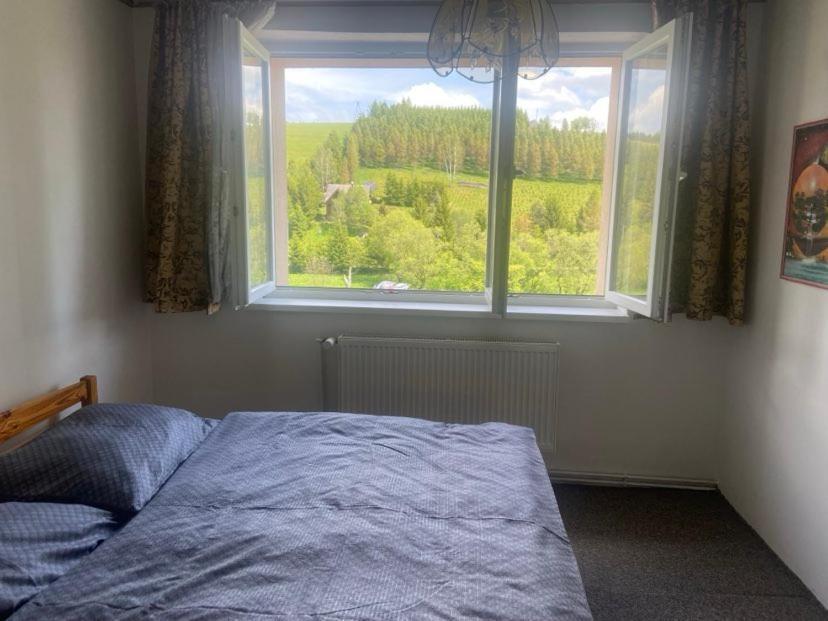 Apartman Orlicke Hory Orlicke Zahori Eksteriør bilde